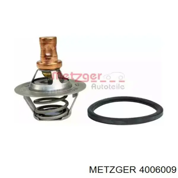 4006009 Metzger