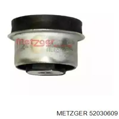 Купить 52030609 Metzger 