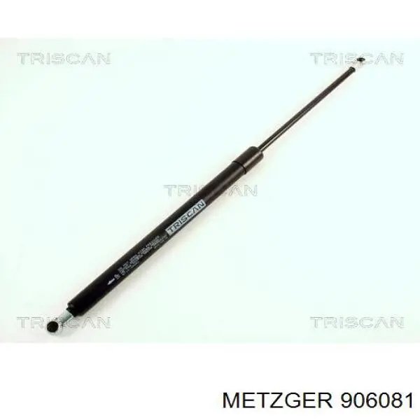 906081 Metzger 