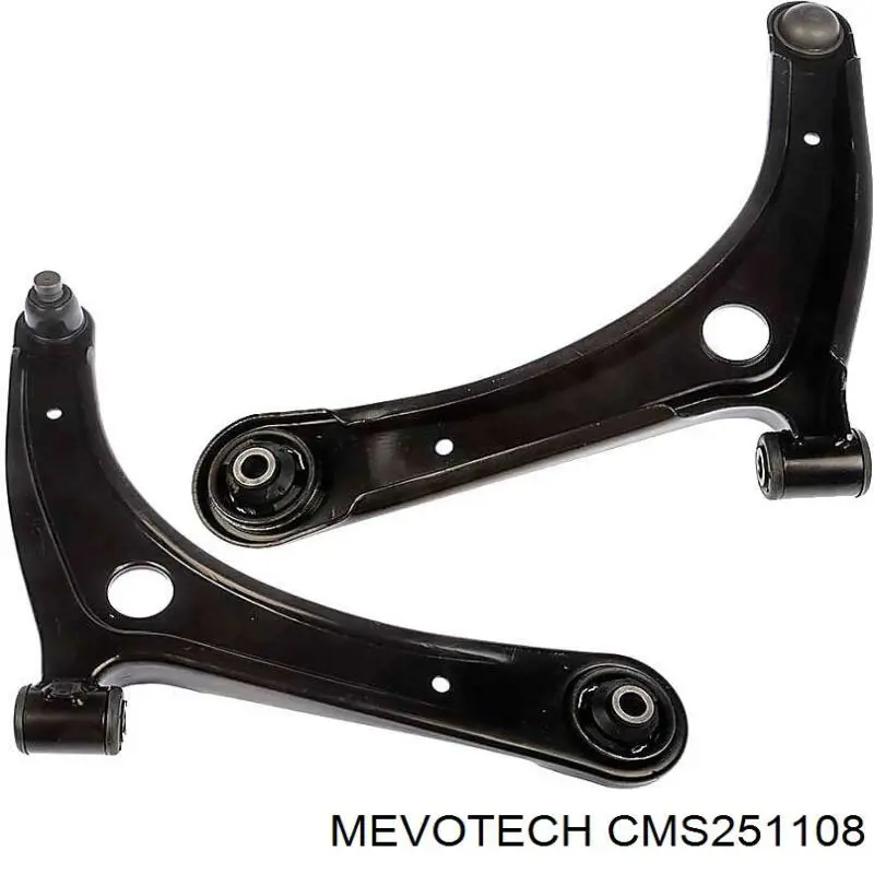 CMS251108 Mevotech 