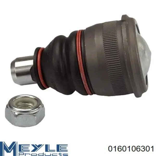 RL124307M Raiso Палец шаровой нижний