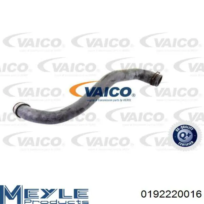 Купить 0192220016 Meyle Патрубок радиатора