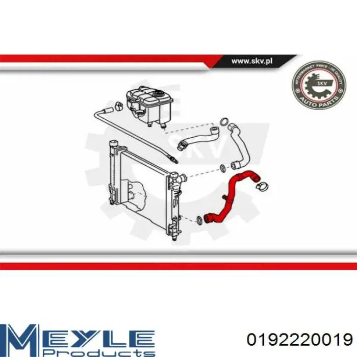 Купить 0192220019 Meyle Шланг радиатора охлаждения нижний