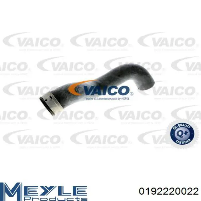 Шланг радиатора, нижний Meyle 0192220022 цена, от 20.75 USD