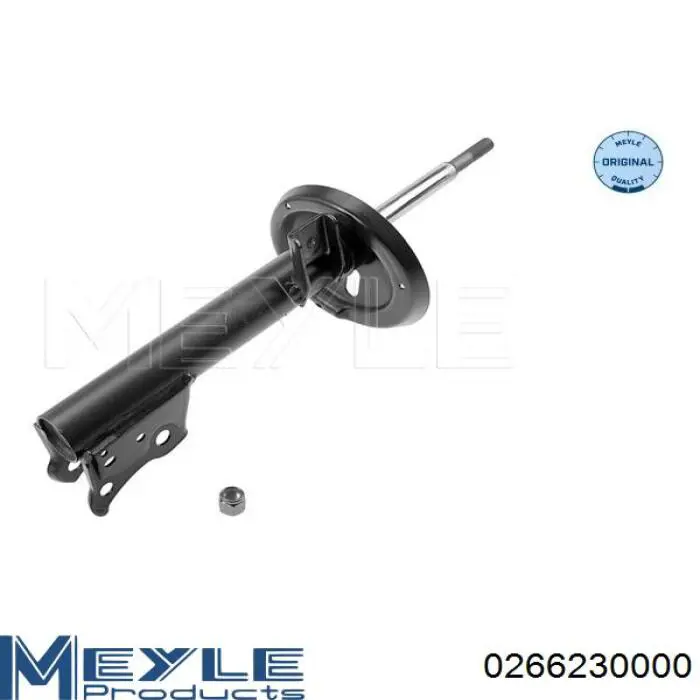 Амортизатор передний RS553669 Raiso
