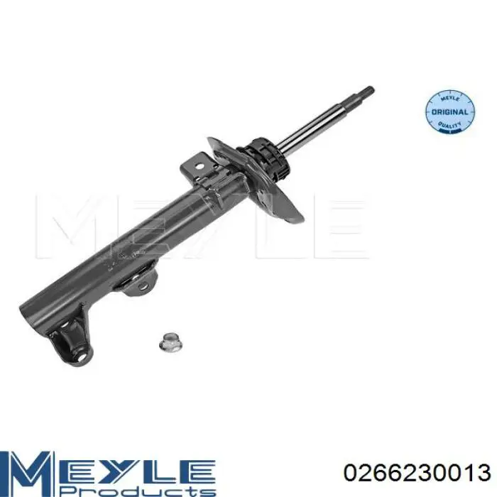 RS317556 Raiso Стойка передняя