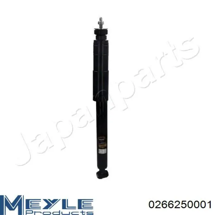 Амортизатор передний RS316947 Raiso