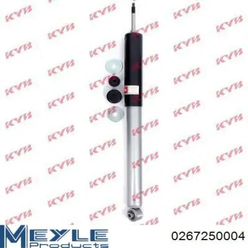 9131434 Gold Амортизаторы задние