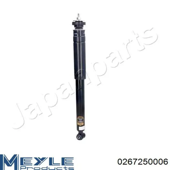 Амортизатор задний RS317354 Raiso