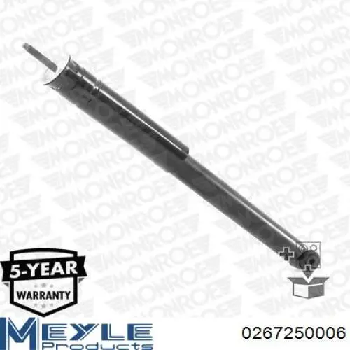 Стойка амортизатора задняя Raiso RS317257 цена, от 30.17 USD