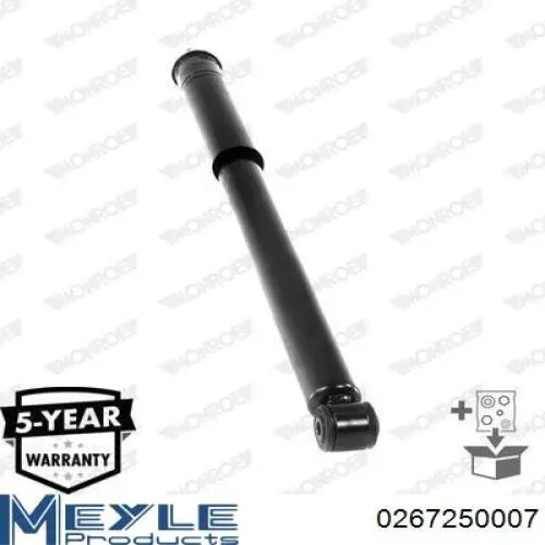 Амортизатор задний RS317268 Raiso