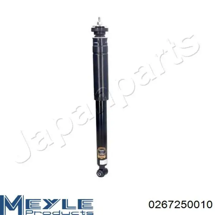 Амортизатор задний RS317259 Raiso