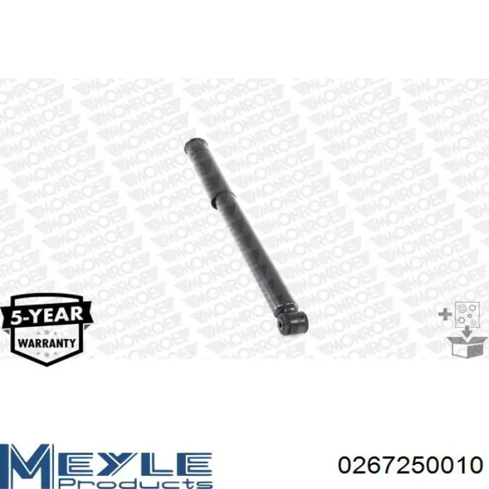 Стойка амортизатора задняя Raiso RS317259 цена, от 24.58 USD