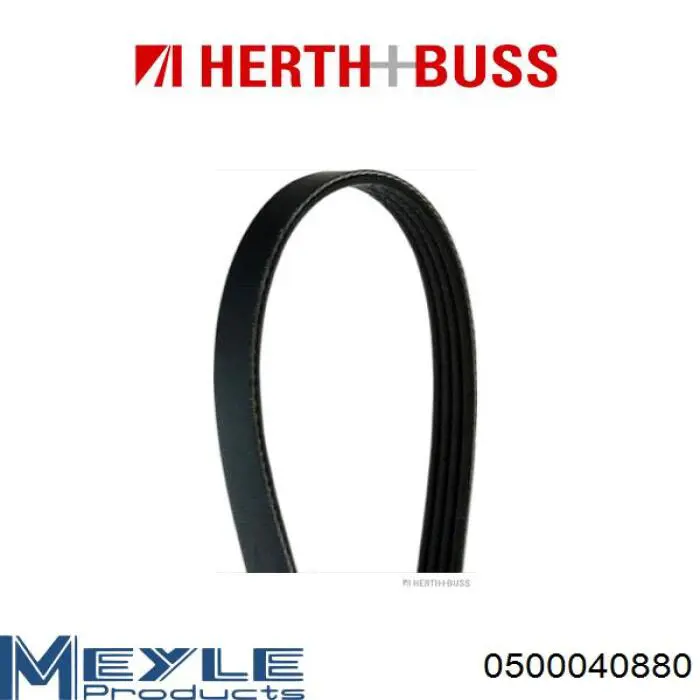 Купить MD069671 Chrysler Ремень генератора