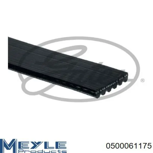 Купить 117207930R Renault (RVI) Ремень генератора