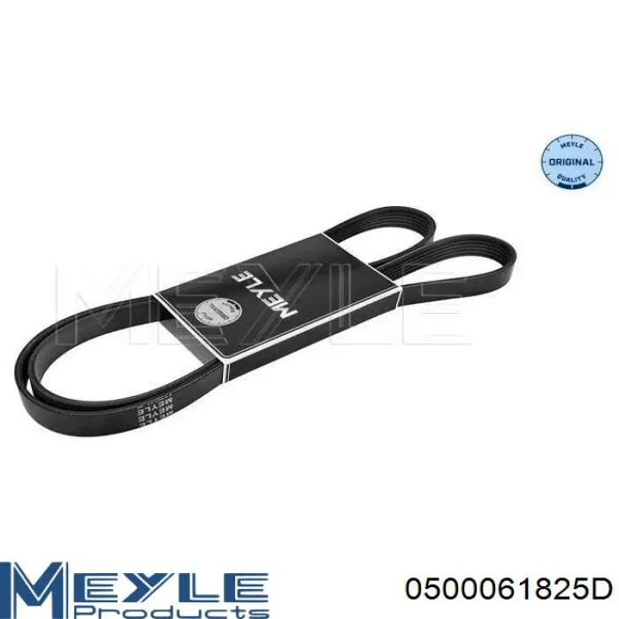 Correa trapezoidal 0500061825D Meyle