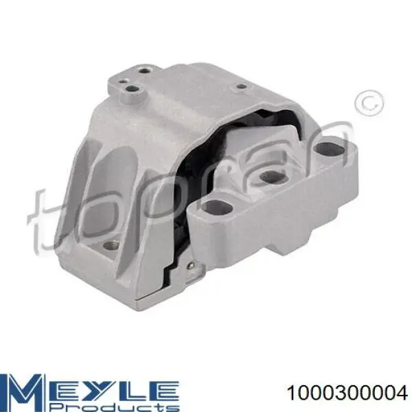 1000300004 Meyle
