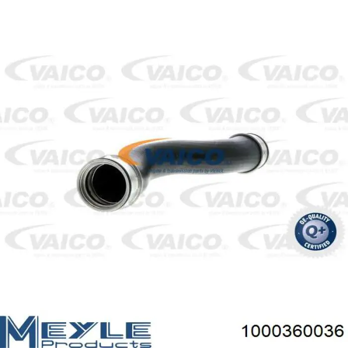 Tubo flexible de aire de sobrealimentación inferior derecho 1000360036 Meyle