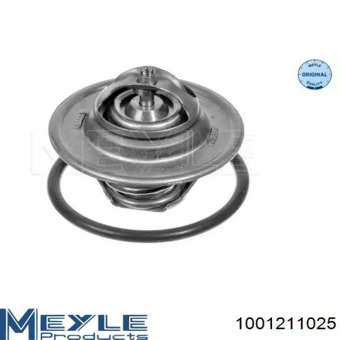 Термостат TST00687 Starline