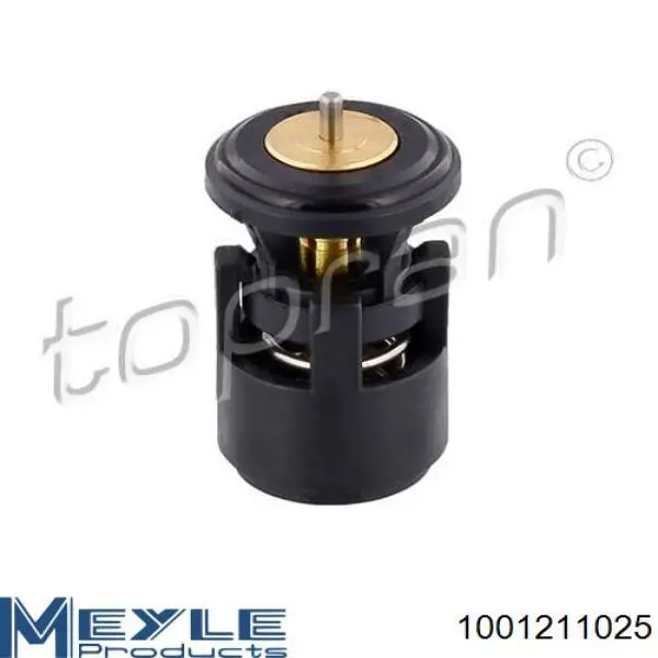 Термостат в корпусе Starline TST00687 цена, от 7.60 USD