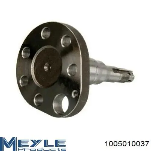 Цапфа - поворотный кулак задний, левый Dello/Automega 110043410 цена, от 14.07 USD