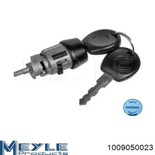 Личинка замка зажигания 31905003 AND