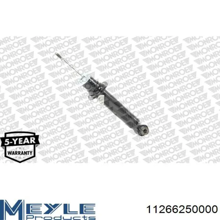 Купить RS313562 Raiso Амортизатор передней подвески