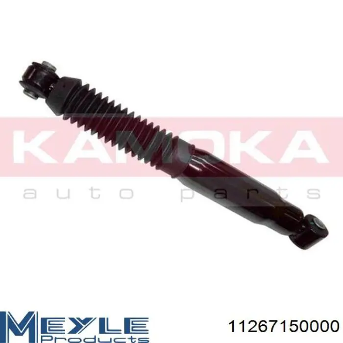 Стойка амортизатора задняя Raiso RS280435 цена, от 18.38 USD