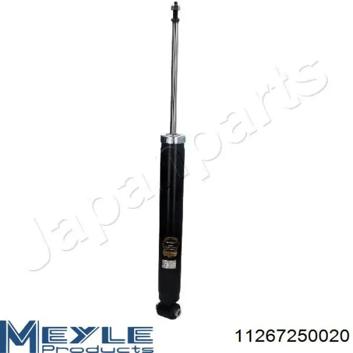 RS315853 Raiso Амортизаторы задние