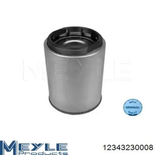 Filtro combustible 12343230008 Meyle
