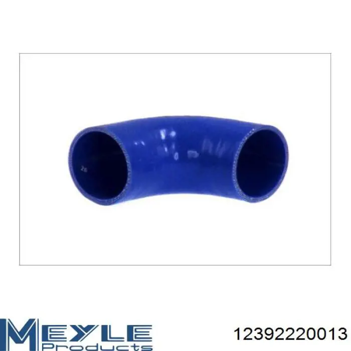 Tubo flexible de aire de sobrealimentación 12392220013 Meyle