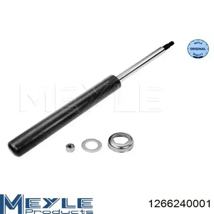 Амортизатор передний RS318303 Raiso