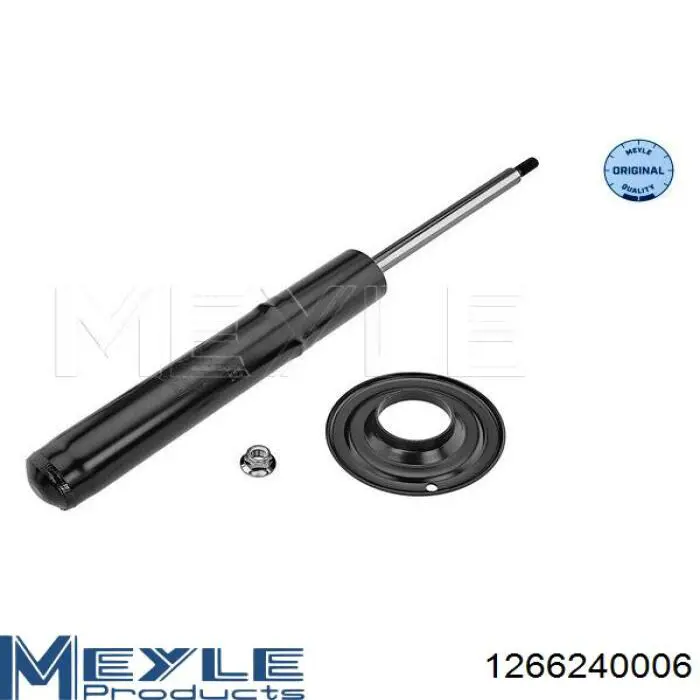 RS315262 Raiso Стойка передняя