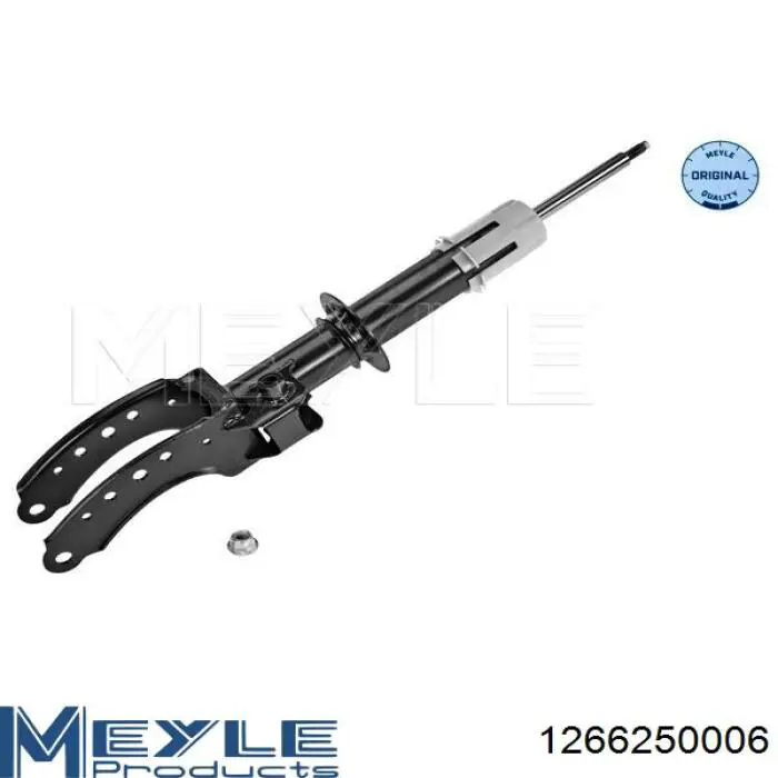 Амортизатор передней подвески левой Raiso RS317241 цена, от 52.94 USD