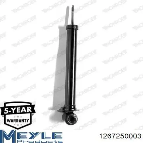 Амортизатор задний RS170269 Raiso