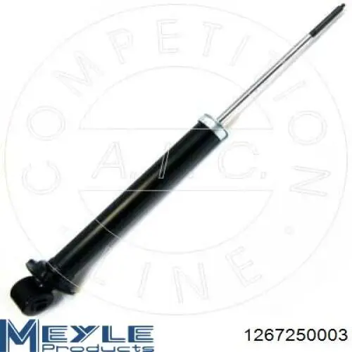 Стойка амортизатора задняя Raiso RS170269 цена, от 24.74 USD