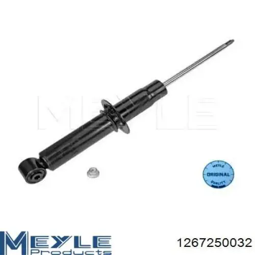RS314457 Raiso Амортизаторы задние