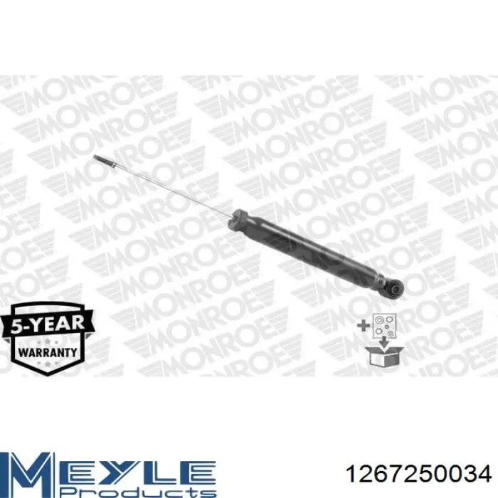 RS314213 Raiso Амортизаторы задние
