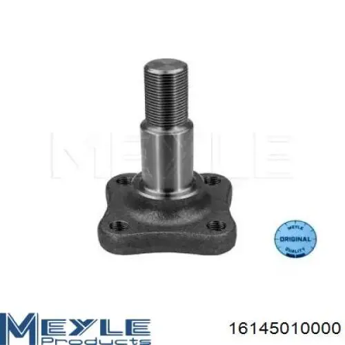 Купить 8200544012 Renault (RVI) Поворотный кулак задний