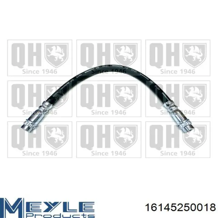 Шланг тормозной передний 8200778628 Renault (RVI)