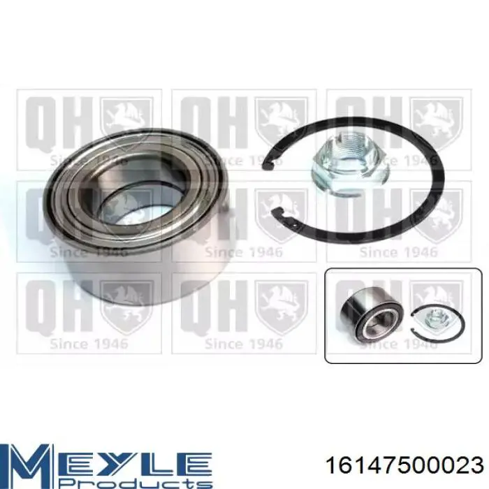 Подшипник задней ступицы 432103106R Renault (RVI)