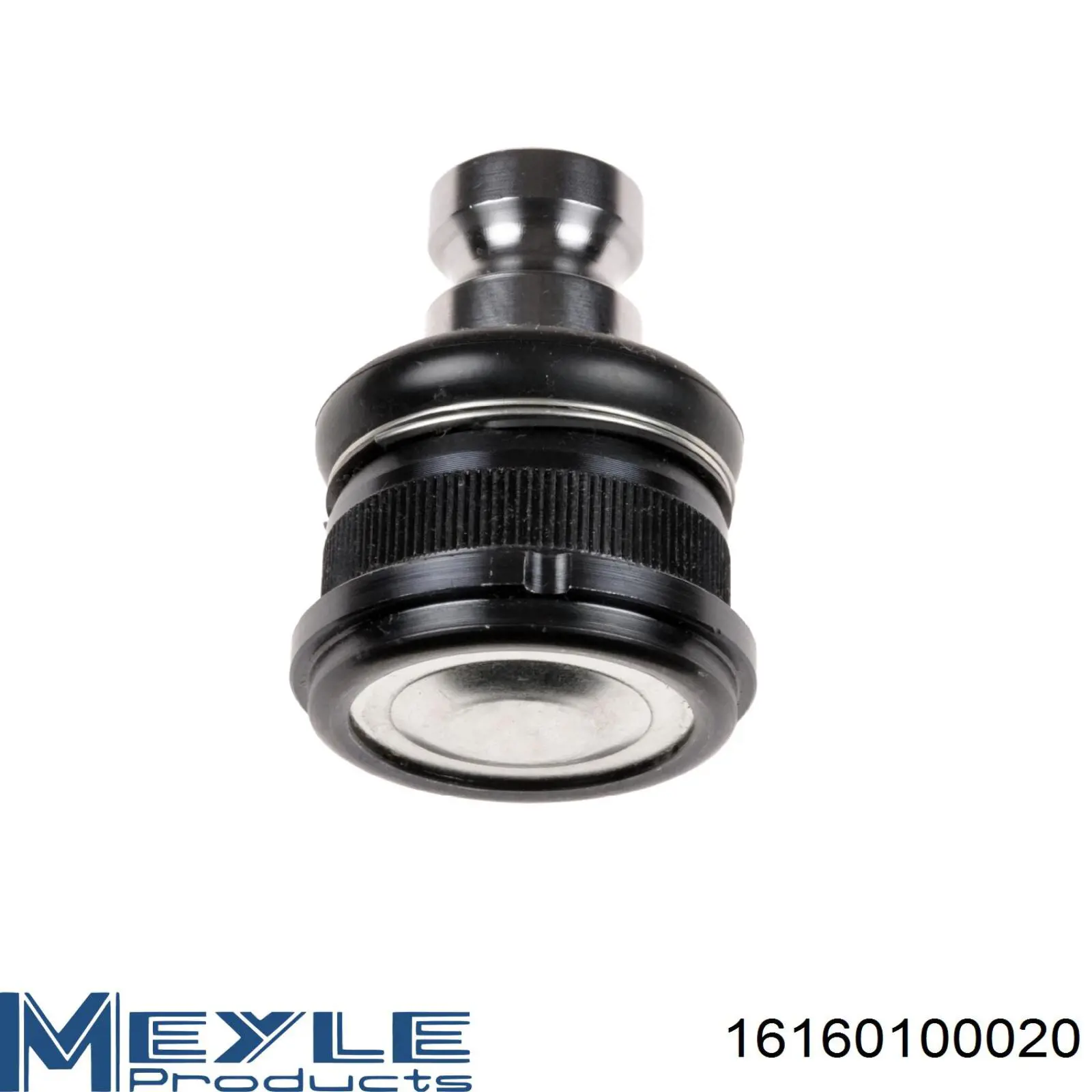 RL770154R Raiso Палец шаровой нижний
