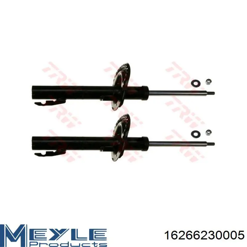 Амортизатор передний 8200278969 Renault (RVI)