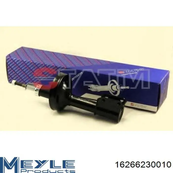Амортизаторы передние Renault (RVI) 8671019979