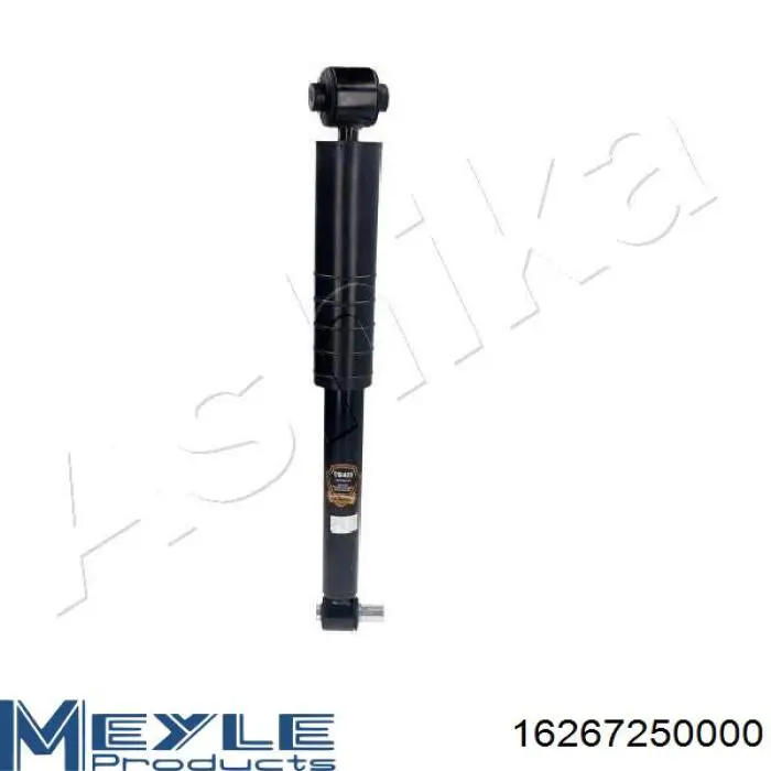 Стойка амортизатора задняя Raiso RS290739 цена, от 29.56 USD