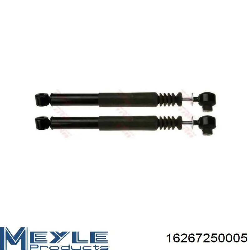 Амортизатор задний 7701479087 Renault (RVI)