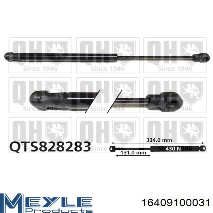Амортизатор задней двери Renault (RVI) 844304692R цена, от 11.64 USD