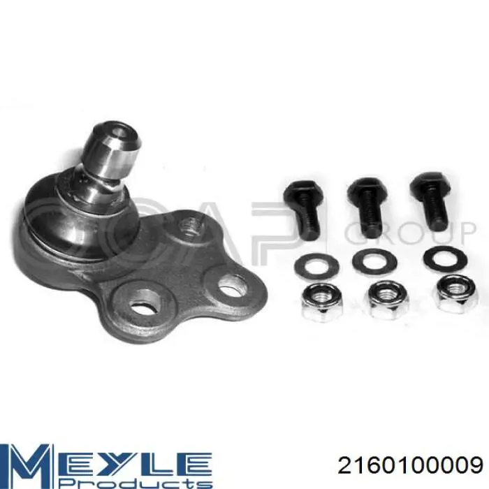 Купить RD993536533 Rider Нижняя шаровая опора