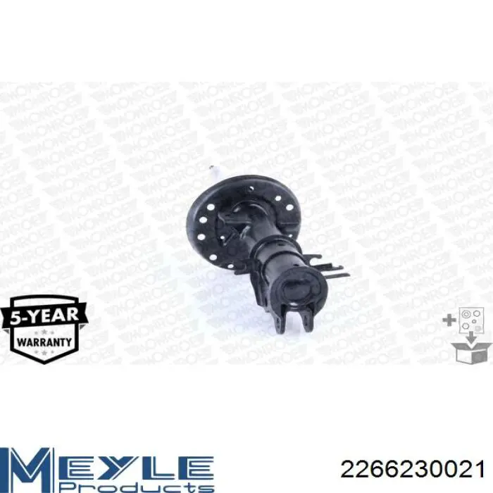 Амортизатор передней подвески левой Raiso RS315372 цена, от 38.85 USD