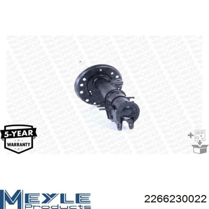 Амортизатор подвески передний левый Raiso RS315373 цена, от 38.98 USD